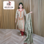 Premium Kashmiri Stitched Salwar Kameez