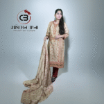 Premium Kashmiri salwar kameez