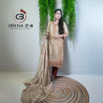 Premium Kashmiri salwar kameez