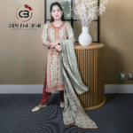 Premium Kashmiri Stitched Salwar Kameez